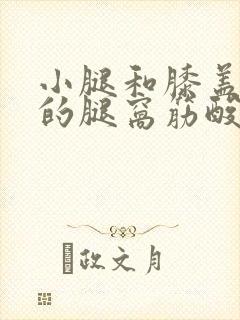 小腿和膝盖后面的腿窝筋酸疼