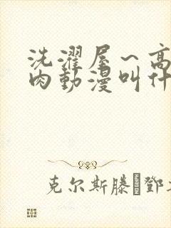 洗濯屋～高柳の肉动漫叫什么