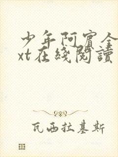 少年阿宾全集txt在线阅读