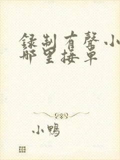 录制有声小说去哪里接单