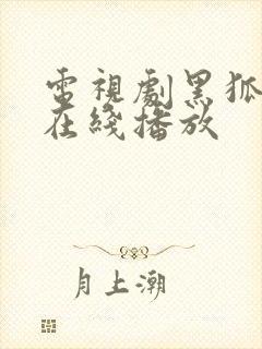 电视剧黑狐全集在线播放封面