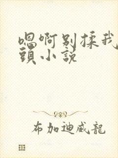 嗯啊别揉我的奶头小说封面