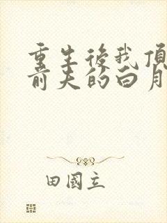 重生后我顶替了前夫的白月光小说