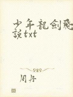少年龙剑飞 小说txt