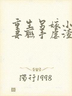 重生另嫁小叔夫妻联手虐渣txt