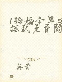 1号婚令早安大总裁免费阅读全文无弹窗封面