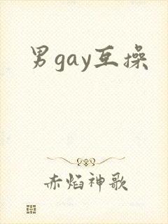 男gay互操