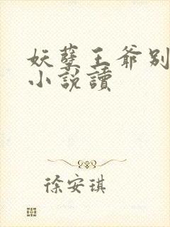 妖孽王爷别乱来小说读封面