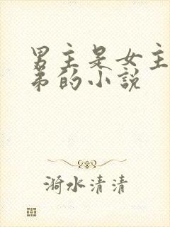 男主是女主的继弟的小说