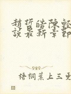 赵哲皓陈轻柔小说最新章节更新封面