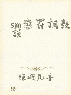 sm惩罚调教小说
