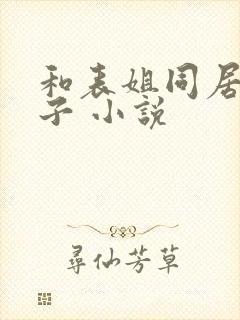 和表姐同居的日子 小说封面