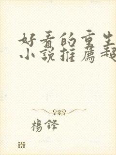 好看的重生官场小说推荐超经典