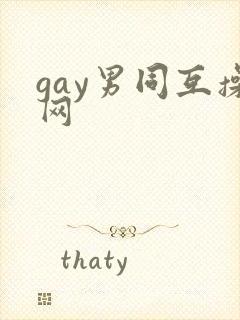 gay男同互操网