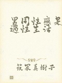 男同性恋是怎么过性生活