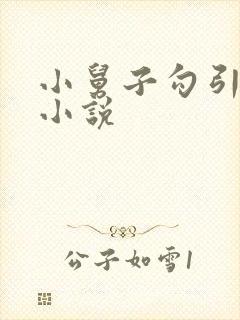 小舅子勾引姐夫小说封面