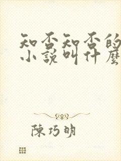 知否知否的原著小说叫什么名字