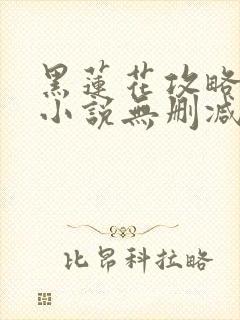 黑莲花攻略手册小说无删减在线阅读