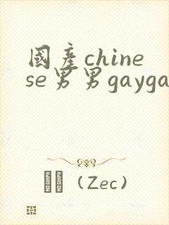 国产chinese男男gaygay网站vk