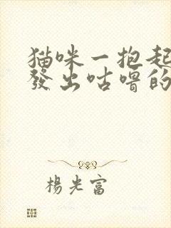 猫咪一抱起来就发出咕噜的声音封面