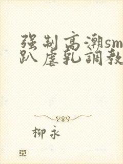 强制高潮sm跪趴虐乳调教小说