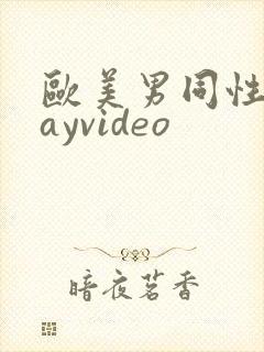 欧美男同性恋gayvideo