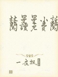 林曼曼小说全文阅读免费阅读全文