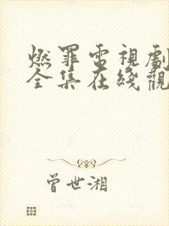 燃罪电视剧免费全集在线观看高清封面