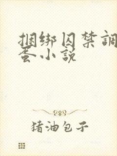 捆绑囚禁调教跳蛋小说