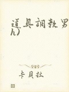 道具调教男男(h)