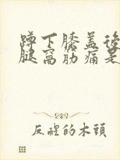 蹲下膝盖后面的腿窝筋痛是什么原因