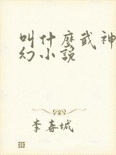 叫什么武神的玄幻小说封面