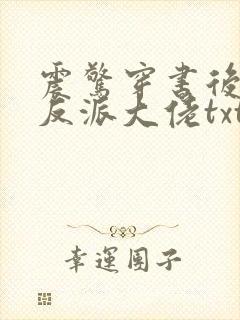 震惊穿书后娶了反派大佬txt