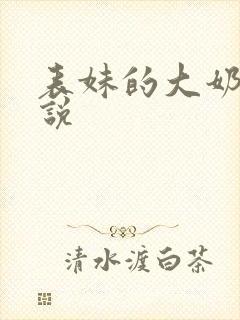 表妹的大奶子小说封面