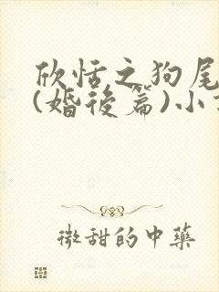 欣恬之狗尾番外(婚后篇)小说