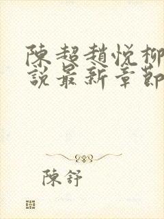 陈超赵悦柳絮小说最新章节封面