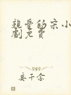 亲爱的宋小姐短剧免费封面