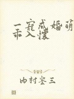 一宠成婚萌妻乖乖入怀封面