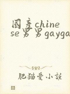 国产chinese男男gaygay在线观看