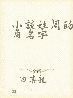 小说姓周的女主角名字封面