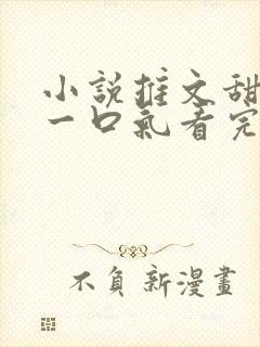 小说推文甜宠文一口气看完