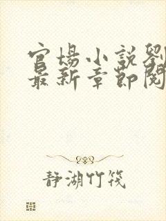 官场小说刘志中最新章节阅读全文封面