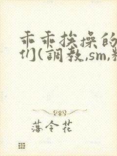 乖乖挨操的少女们(调教,sm,粗口)