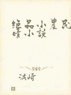 绝品小农民宋雨晴小说