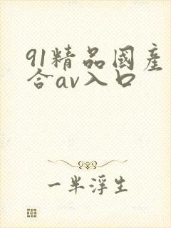 91精品国产综合av入口