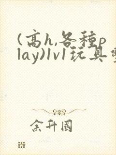 (高h,各种play)1v1玩具双性