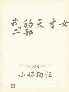 我的天才女友第二部