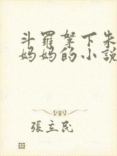 斗罗拿下朱竹清妈妈的小说封面