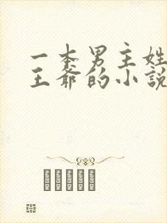 一本男主姓萧是王爷的小说