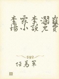 李霖李澜巅峰官场小说免费阅读封面